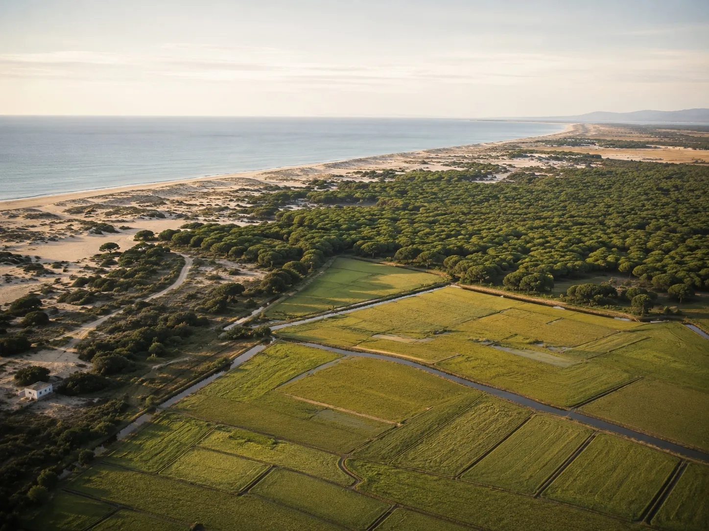 Aerial view of Comporta: rice fields, pine forest and Atlantic beaches
